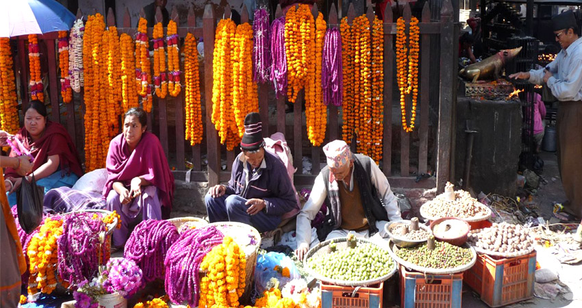 Tihar-festival-1