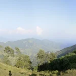 greenery around nagarkot