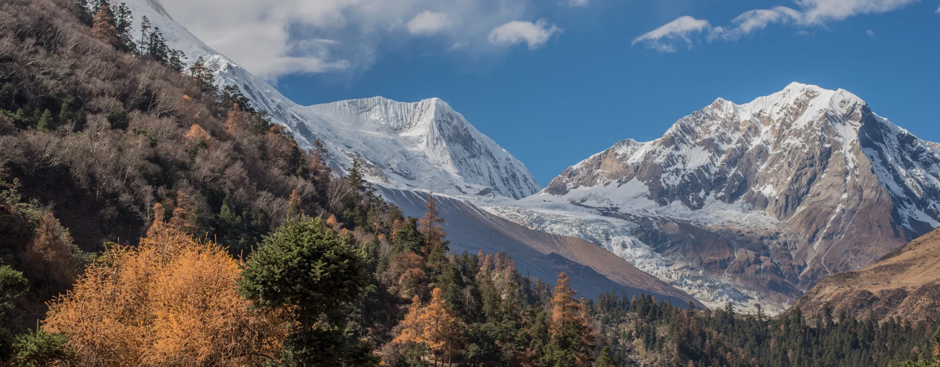 Manaslu mountain range where the mule stand as a foreground