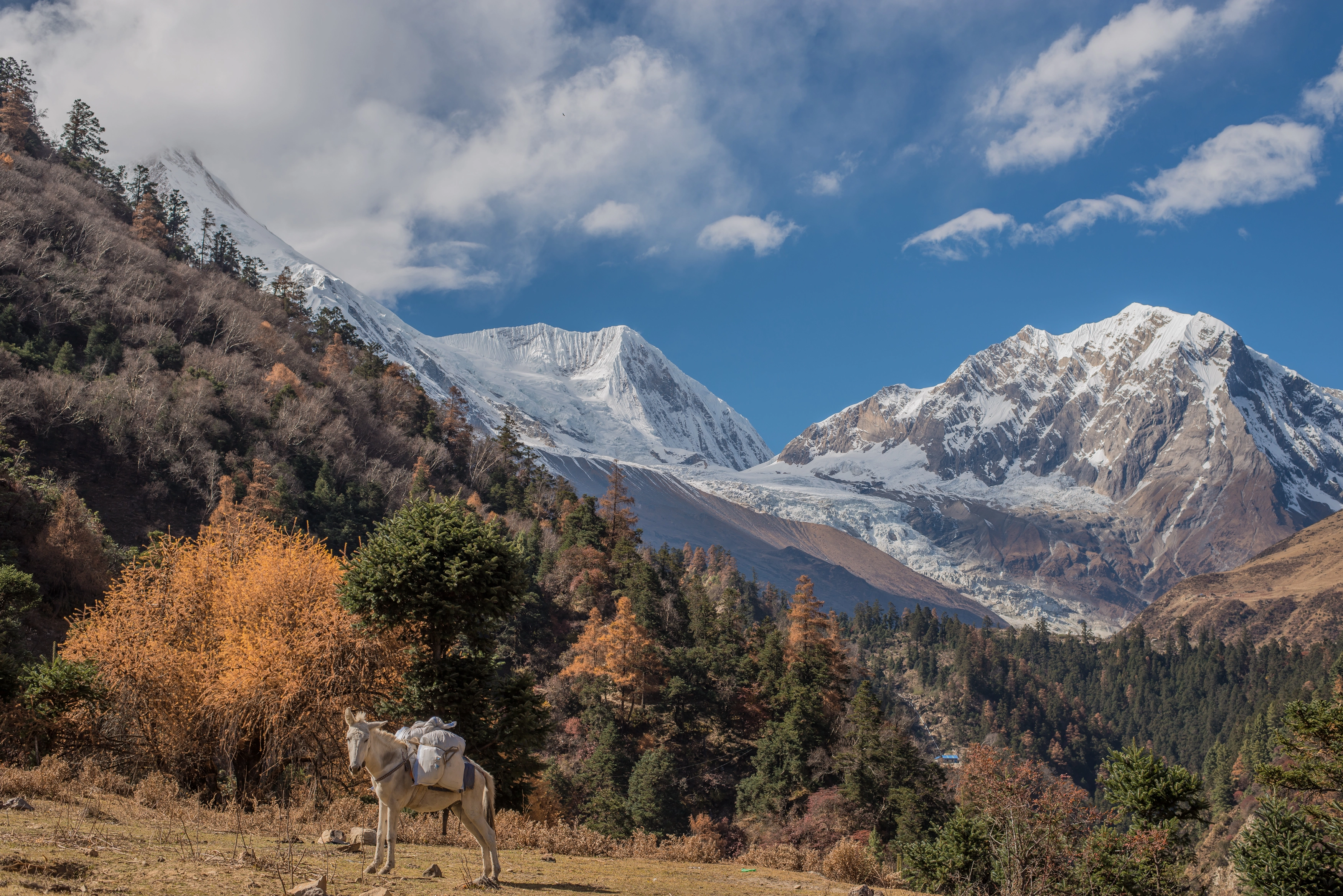 Everest Hikes